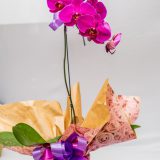 Vaso Flor Orquídea – Estância A